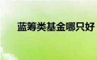 蓝筹类基金哪只好（什么叫蓝筹基金）