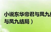 小说东华帝君与凤九结局如何（小说东华帝君与凤九结局）
