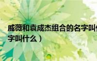 戚薇和袁成杰组合的名字叫什么呢（戚薇和袁成杰组合的名字叫什么）