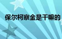 保尔柯察金是干嘛的（真实的保尔柯察金）