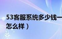 53客服系统多少钱一年（53KF在线客服系统怎么样）