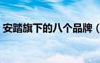 安踏旗下的八个品牌（始祖鸟完全归安踏吗）