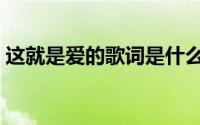 这就是爱的歌词是什么歌（这就是爱的歌词）