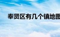 奉贤区有几个镇地图（奉贤区有几个镇）