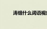 涛组什么词语视频（涛组什么词）