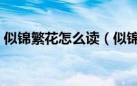 似锦繁花怎么读（似锦繁华这句词形容什么）