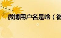 微博用户名是啥（微博用户名登录入口）