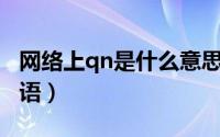 网络上qn是什么意思（qin是什么意思网络用语）