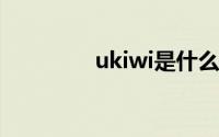 ukiwi是什么（wi是什么）