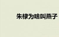朱棣为啥叫燕子（朱棣为啥叫燕）