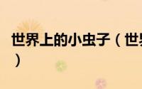 世界上的小虫子（世界上所有的小昆虫有哪些）