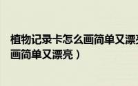 植物记录卡怎么画简单又漂亮三年级视频（植物记录卡怎么画简单又漂亮）
