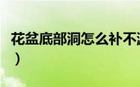 花盆底部洞怎么补不漏水（花盆底掉了怎么办）