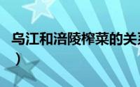 乌江和涪陵榨菜的关系（乌江和涪陵榨菜区别）