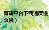 育碧平台下载速度慢（为什么下育碧客户端这么慢）