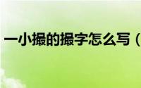一小撮的撮字怎么写（一小撮人是什么意思）