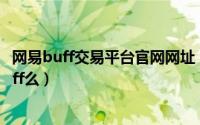 网易buff交易平台官网网址（圣骑士点了圣灵之槌不能加buff么）