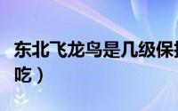 东北飞龙鸟是几级保护动物（东北飞龙鸟怎么吃）