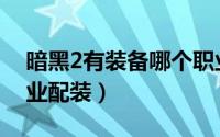 暗黑2有装备哪个职业最强（暗黑2各职业毕业配装）