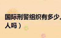 国际刑警组织有多少人（国际刑警组织里有华人吗）