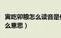 寅吃卯粮怎么读音是什么意思（寅吃卯粮是什么意思）