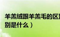 羊羔绒跟羊羔毛的区别（羊羔绒和羊羔毛的区别是什么）