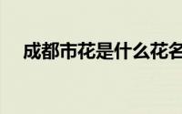 成都市花是什么花名（成都市花是什么）