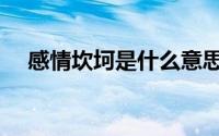 感情坎坷是什么意思（坎坷的两种意思）