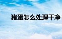 猪蛋怎么处理干净（大猪蛋怎么处理）