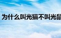 为什么叫光猫不叫光鼠（光猫为什么叫光猫）