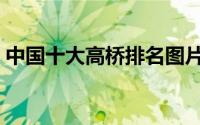 中国十大高桥排名图片（中国十大高桥排名）