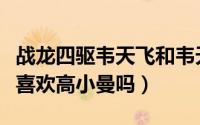 战龙四驱韦天飞和韦天龙（战龙四驱里韦天飞喜欢高小曼吗）