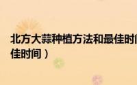 北方大蒜种植方法和最佳时间视频（北方大蒜种植方法和最佳时间）