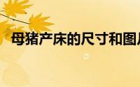 母猪产床的尺寸和图片（母猪产床利与弊）