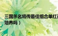 三国杀名将传最佳组合单红诸葛亮（三国杀名将传许褚值得培养吗）