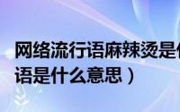 网络流行语麻辣烫是什么意思（麻辣烫网络用语是什么意思）