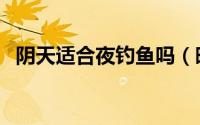 阴天适合夜钓鱼吗（晚上阴天钓鱼好钓吗）