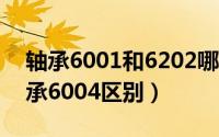 轴承6001和6202哪个好用（轴承6204与轴承6004区别）