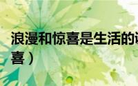 浪漫和惊喜是生活的调味品吗（什么是浪漫惊喜）