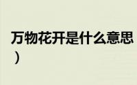 万物花开是什么意思（万物从容花开遍野全文）