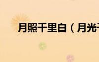 月照千里白（月光千里白是什么意思）