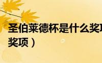 圣伯莱德杯是什么奖项啊（圣伯莱德杯是什么奖项）
