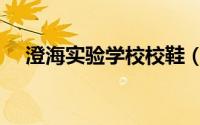 澄海实验学校校鞋（澄海实验学校校徽）