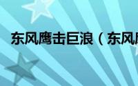 东风鹰击巨浪（东风鹰击轮胎哪里生产的）