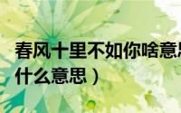 春风十里不如你啥意思（春风十里不如你结局什么意思）