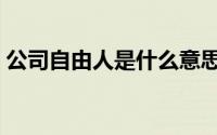 公司自由人是什么意思（自由人是什么意思）