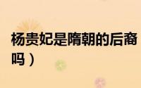杨贵妃是隋朝的后裔（杨贵妃是隋炀帝的女儿吗）