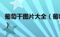 葡萄干图片大全（葡萄干怎么吃最好吃法大全）