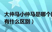 大仲马小仲马是哪个国家的（大仲马和小仲马有什么区别）