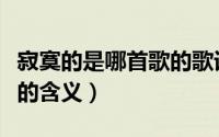 寂寞的是哪首歌的歌词（寂寞的刺猬歌词表达的含义）
